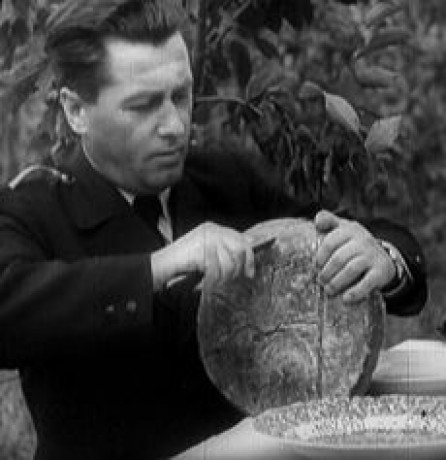 Alexander Mach Alchetron, The Free Social Encyclopedia